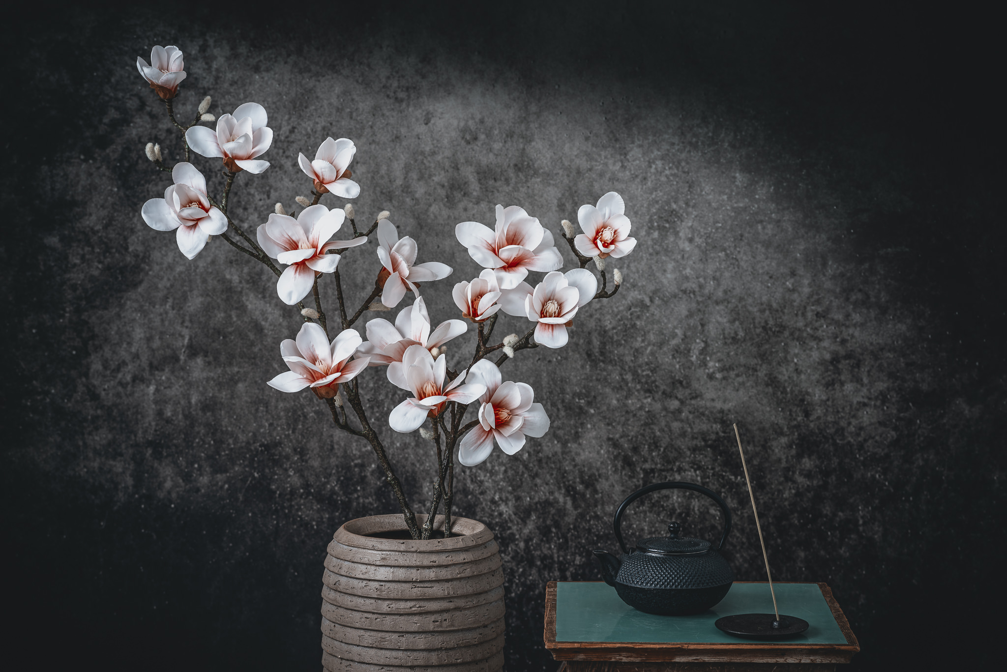 Magnolias in Japan Still Life Photograph as Cover Art